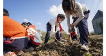 一碗炒飯，一日農(nóng)民，一種感恩。