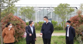 市農(nóng)業(yè)農(nóng)村局局長史立權(quán)赴龍山鎮(zhèn)調(diào)研指導疫情防控和生產(chǎn)保供工作