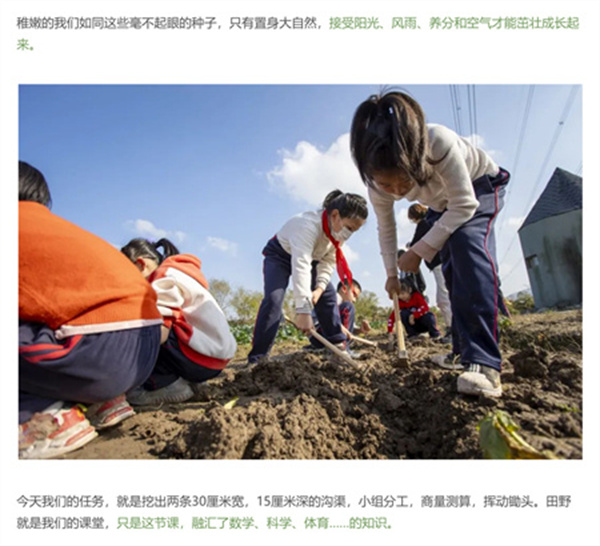 一碗炒飯，一日農(nóng)民，一種感恩。(圖4)