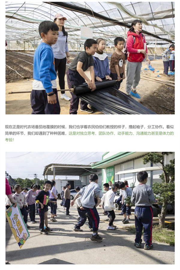 一碗炒飯，一日農(nóng)民，一種感恩。(圖6)