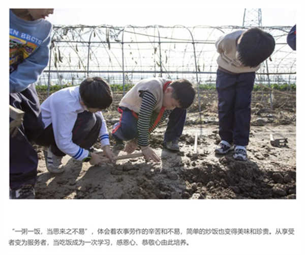 一碗炒飯，一日農(nóng)民，一種感恩。(圖7)