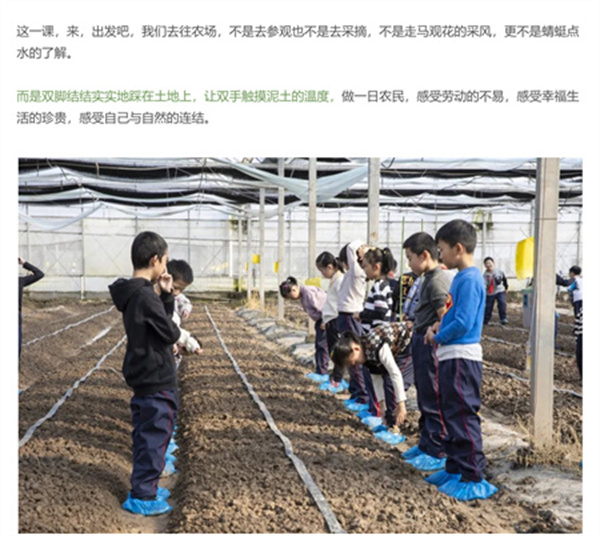 一碗炒飯，一日農(nóng)民，一種感恩。(圖5)