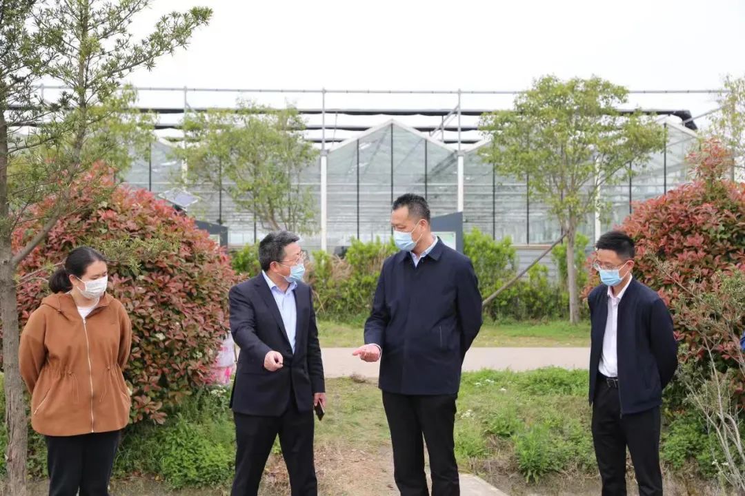 市農(nóng)業(yè)農(nóng)村局局長史立權(quán)赴龍山鎮(zhèn)調(diào)研指導(dǎo)疫情防控和生產(chǎn)保供工作(圖1) 1-22042210515R55.jpg